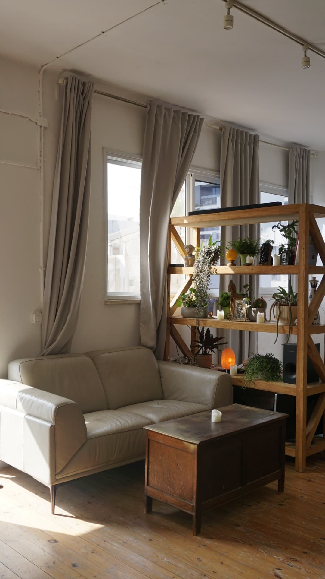 Open shelving and plants — room divider toward the windows