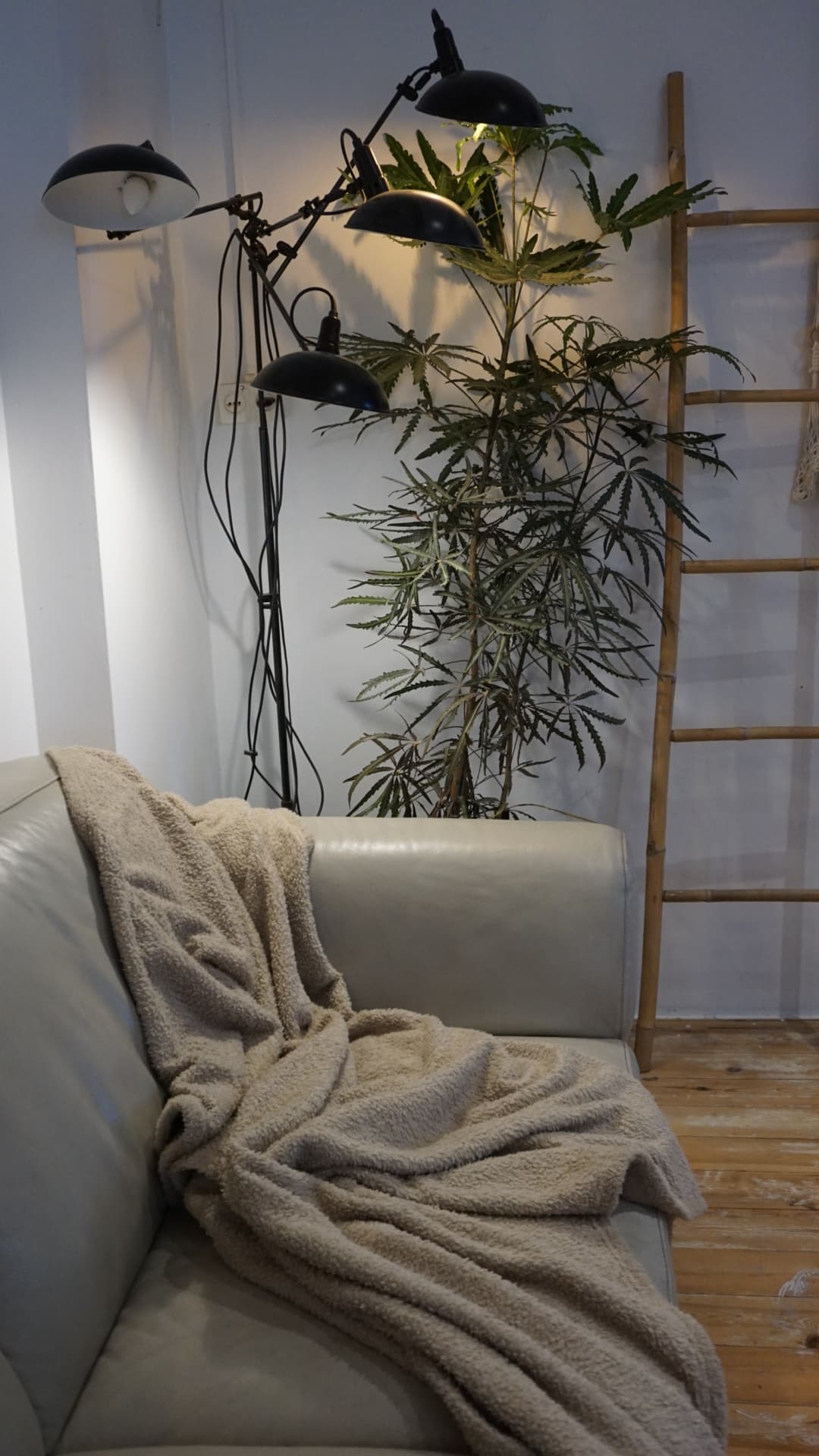 Lounge detail — leather sofa, floor lamp, greenery